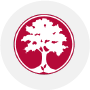 WEB_TREE_2